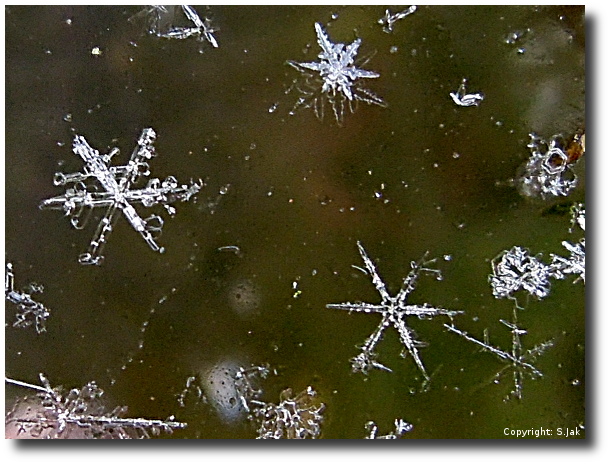 Sneeuwkristallen 22 feb 2013 te Bennekom