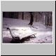 SnowSonsbeek10feb19991.JPG_t.jpg (2403 bytes)