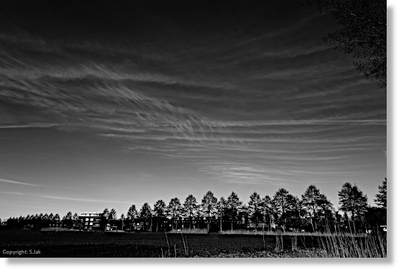 Mei2026
Een mooie zwart wit foto om de structuren van de fijne cirri goed te laten zien. Hier vastgelegd met Nikon Picture Control ' Graphite' 
Keywords: zwart wit;picture control graphite