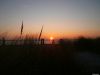 Bestandsnaam=hoekvholland07dec161.jpg
Bestandsgrootte=53KiB
Afmetingen = 600x450
Datum toegevoegd = 20 dec 2007 hoekvholland07dec161.jpg